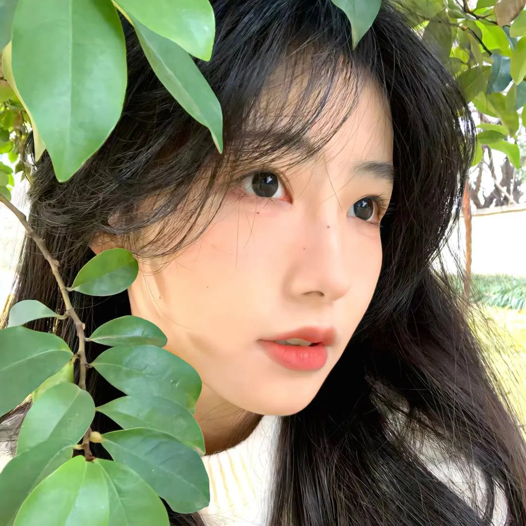 青春正好