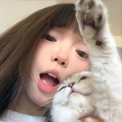 狗不理传奇